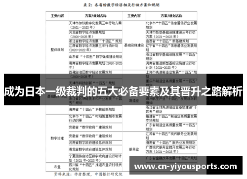 成为日本一级裁判的五大必备要素及其晋升之路解析