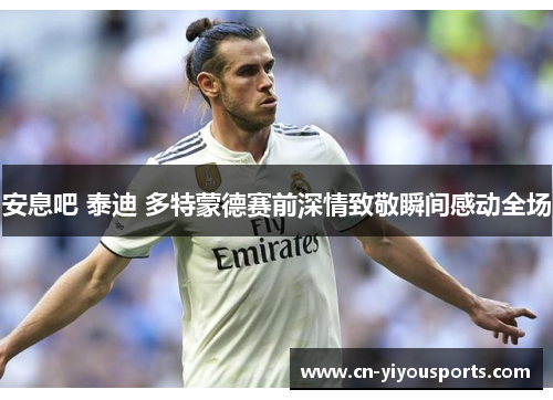 安息吧 泰迪 多特蒙德赛前深情致敬瞬间感动全场
