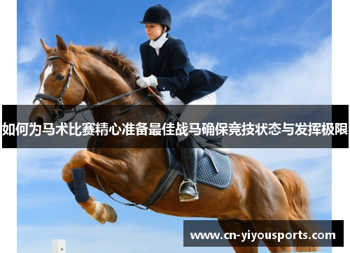 如何为马术比赛精心准备最佳战马确保竞技状态与发挥极限