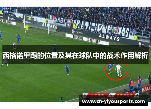 西格诺里踢的位置及其在球队中的战术作用解析